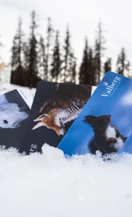 Forfaits de Valberg dans la neige