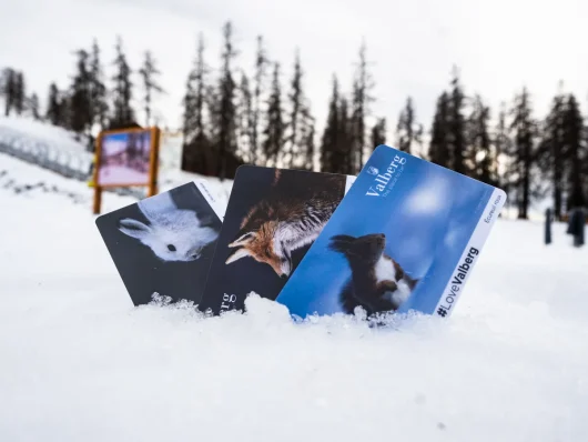 Forfaits de Valberg dans la neige