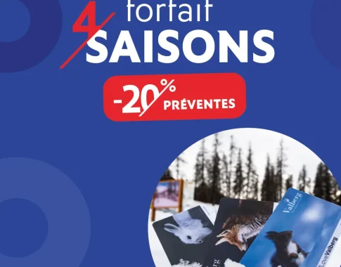 Préventes des forfait 4 saisons